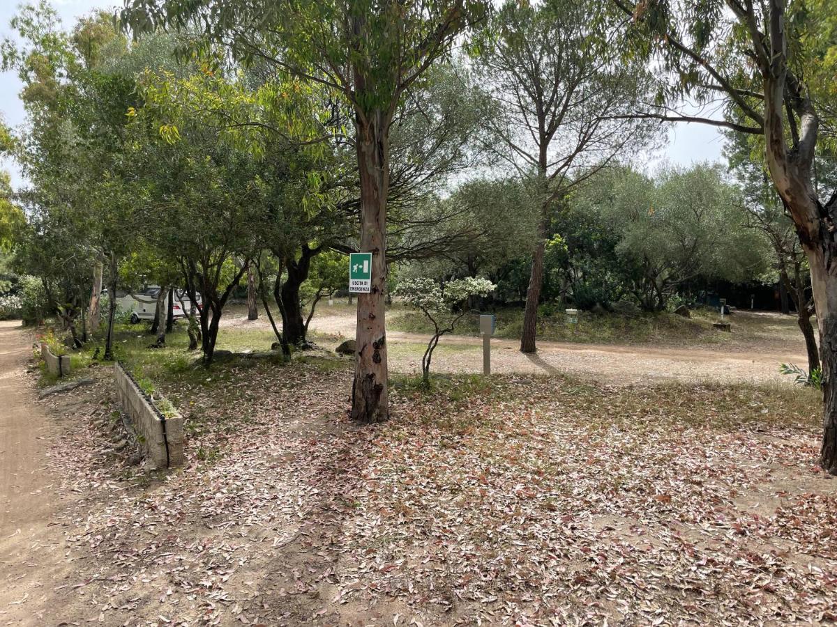 Campsite Porto Rotondo - 3*